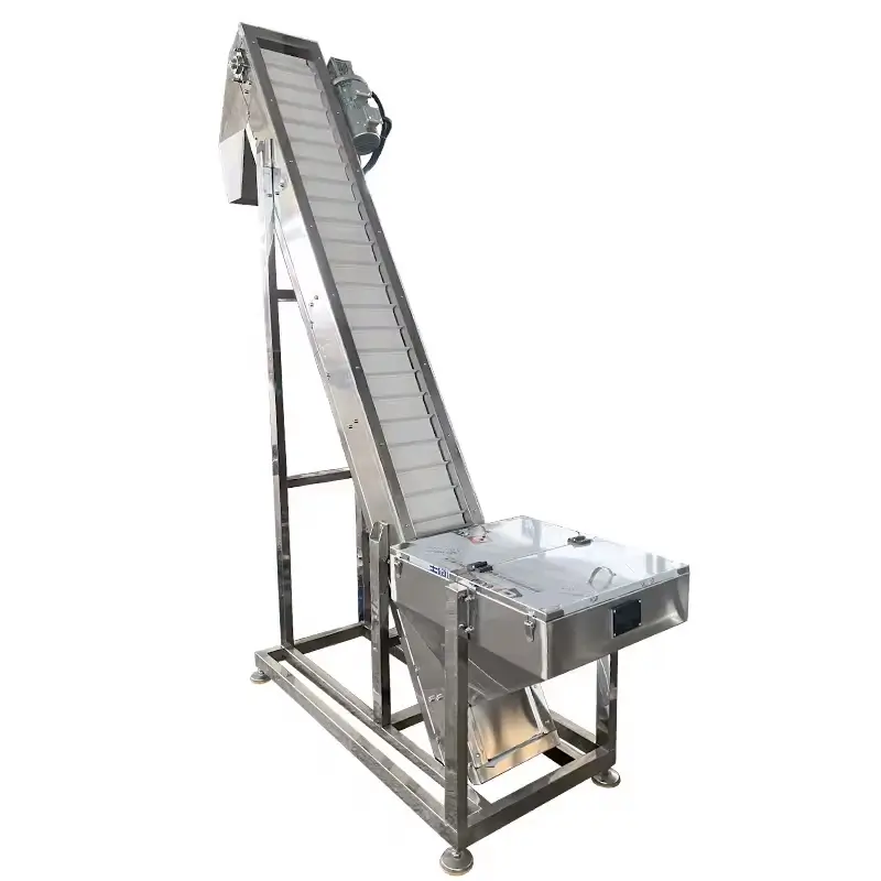 Chain Conveyor